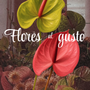 Flores al Gusto-Base GDE