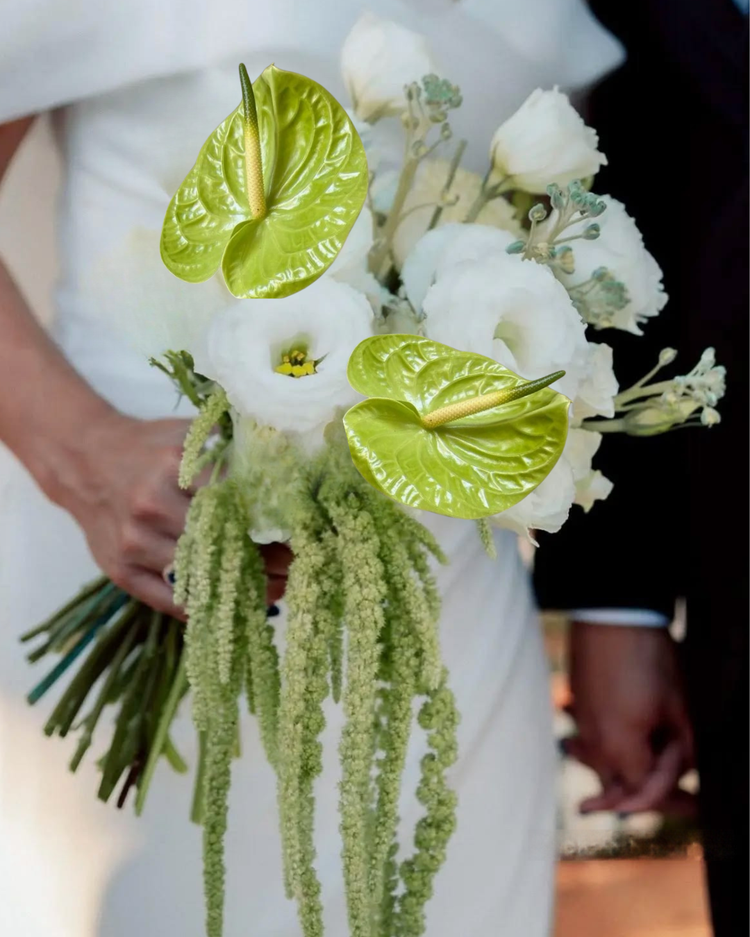 RAMO DE NOVIA - Image 2